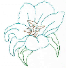 FLOWER OUTLINE