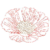 FLOWER OUTLINE