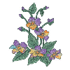 PANSIES