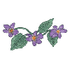 PANSIES