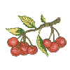 CHERRIES