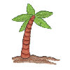 PALM TREE