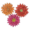 THREE DAISIES