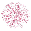 FLOWER OUTLINE