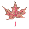 LEAF