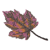 AUTUMN LEAVES