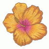 HIBISCUS