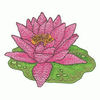 WATERLILY