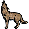 COYOTE