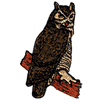 GREAT HORNED OWL