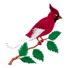 CARDINAL