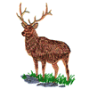 ELK