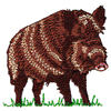 WILD HOG