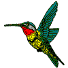 HUMMINGBIRD