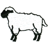 SHEEP