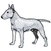 BULL TERRIER