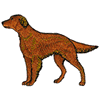 IRISH SETTER