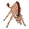 FRINGE GIRAFFE