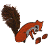 FRINGE SQUIRREL