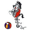 ZEBRA WITH BEACH BALL