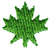 CANADA LEAF