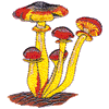 MUSHROOM