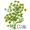 DILL