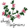 SWEET MARJORAM