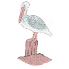 PELICAN