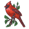 CARDINAL