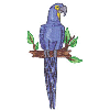 MACAW