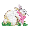 RABBIT