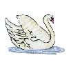 SWAN