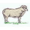 LAMB