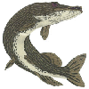 PIKE FISH