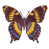 BUTTERFLY