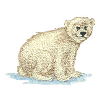 POLAR BEAR