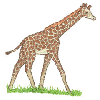 GIRAFFE