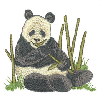 PANDA BEAR