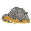 ARMADILLO