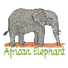 AFRICAN ELEPHANT