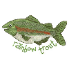 RAINBOW TROUT