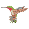 HUMMINGBIRD