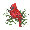 CARDINAL