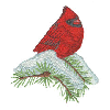 CARDINAL