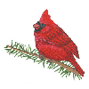 CARDINAL