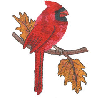 CARDINAL