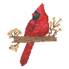 CARDINAL