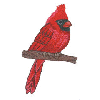 CARDINAL