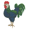 ROOSTER